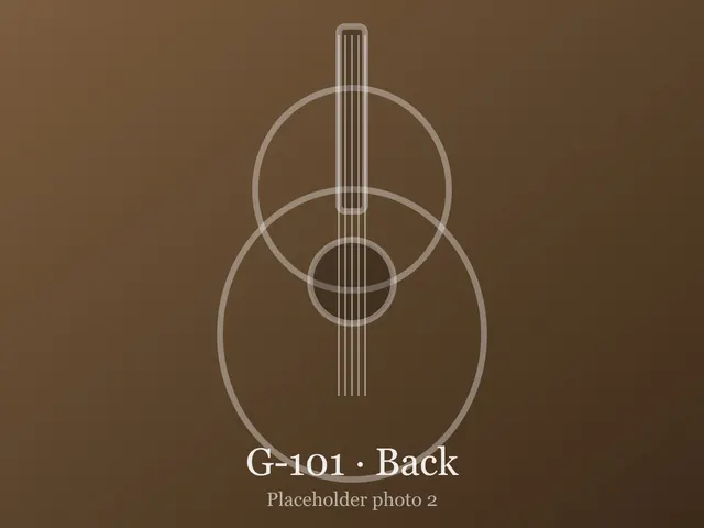 Guitar G-101, photo 2