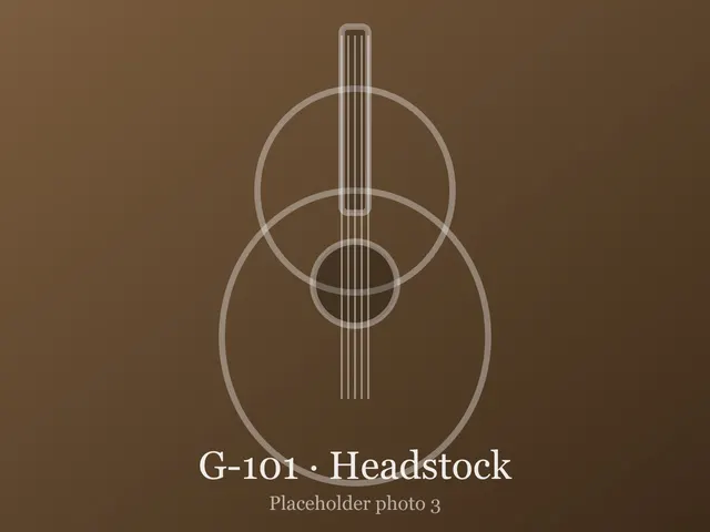 Guitar G-101, photo 3