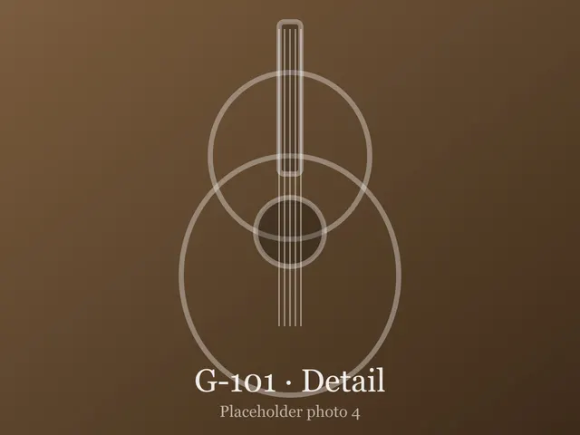 Guitar G-101, photo 4