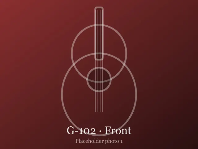 Guitar G-102