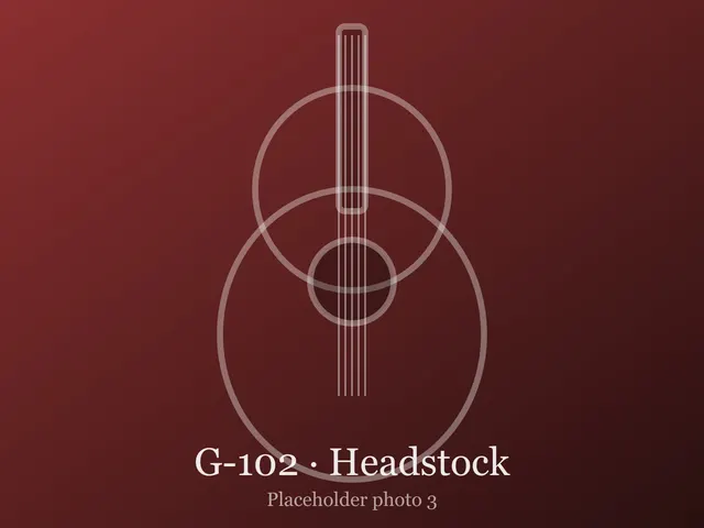 Guitar G-102, photo 3