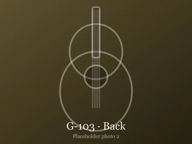 Guitar G-103, photo 2