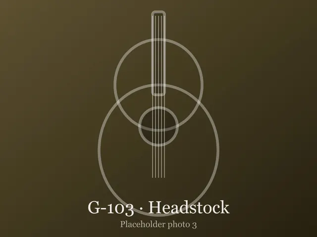 Guitar G-103, photo 3