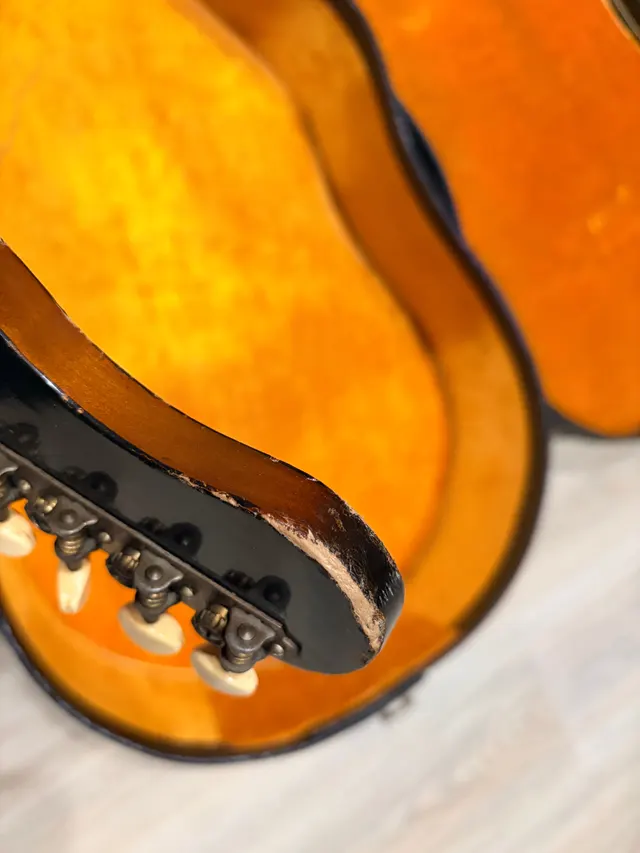 Harmony Rebel H684, photo 12