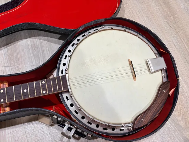 Kay 5-String Banjo