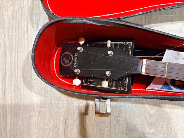 Kay 5-String Banjo, photo 2