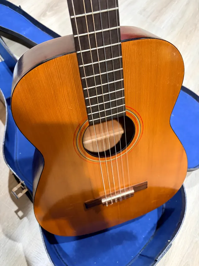 Silvertone Classical, photo 2