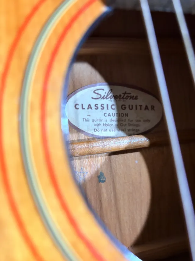 Silvertone Classical, photo 3