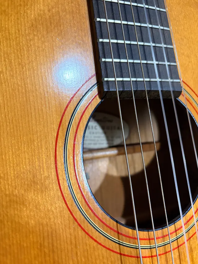 Silvertone Classical, photo 4