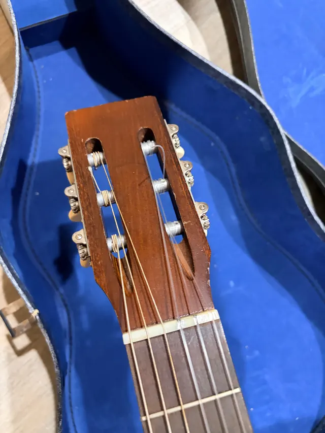 Silvertone Classical, photo 5