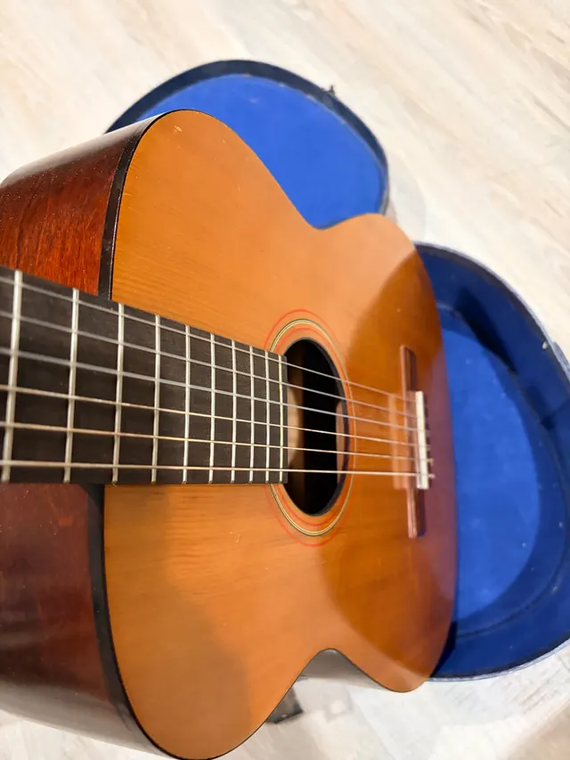 Silvertone Classical, photo 7