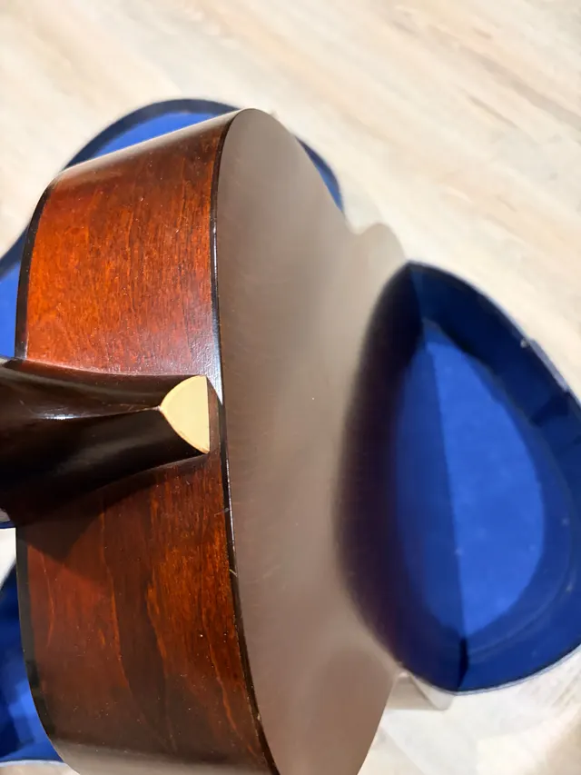 Silvertone Classical, photo 8